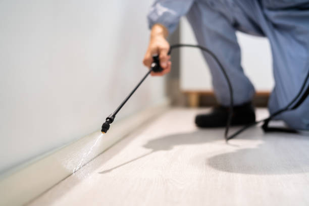 Licensed Rodent Control service in Eureka, MT - Nex Pest Control