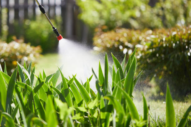 24/7 Emergency Rodent Control experts in Eureka, MT