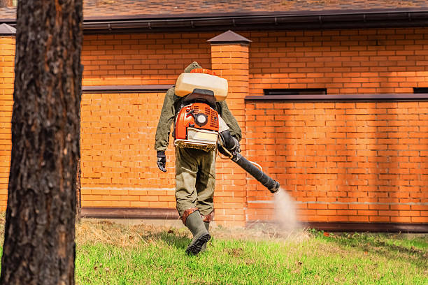 Top rated local Rodent Control specialists in Eureka, MT